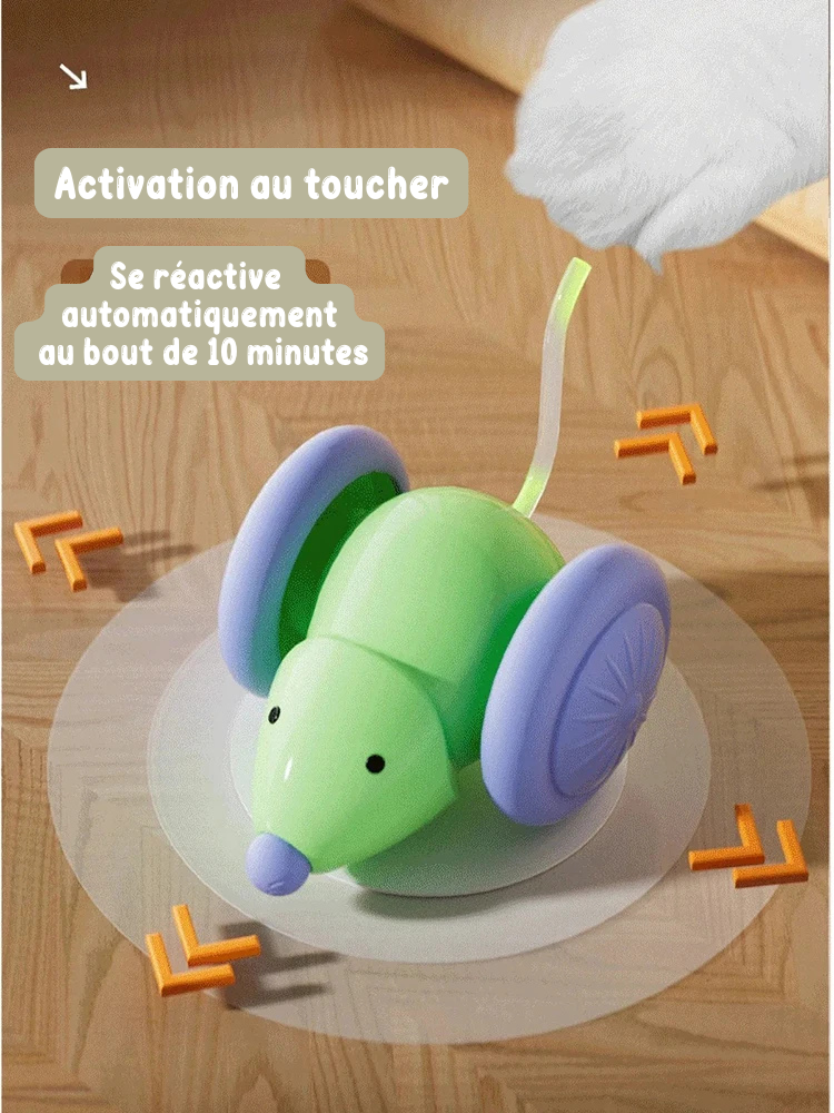 FunPetto™ - Souris électrique ⚡
