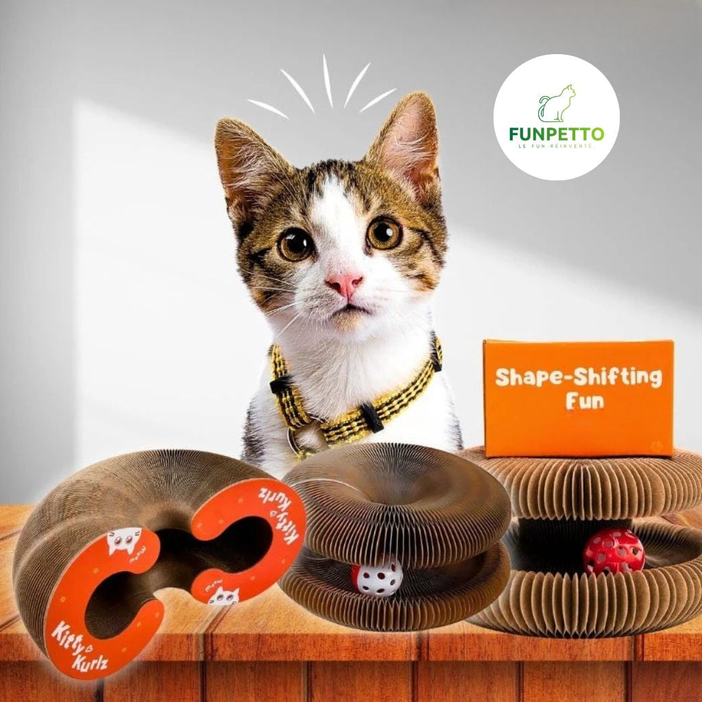 FunPetto™ - Griffoir interactif pour chat