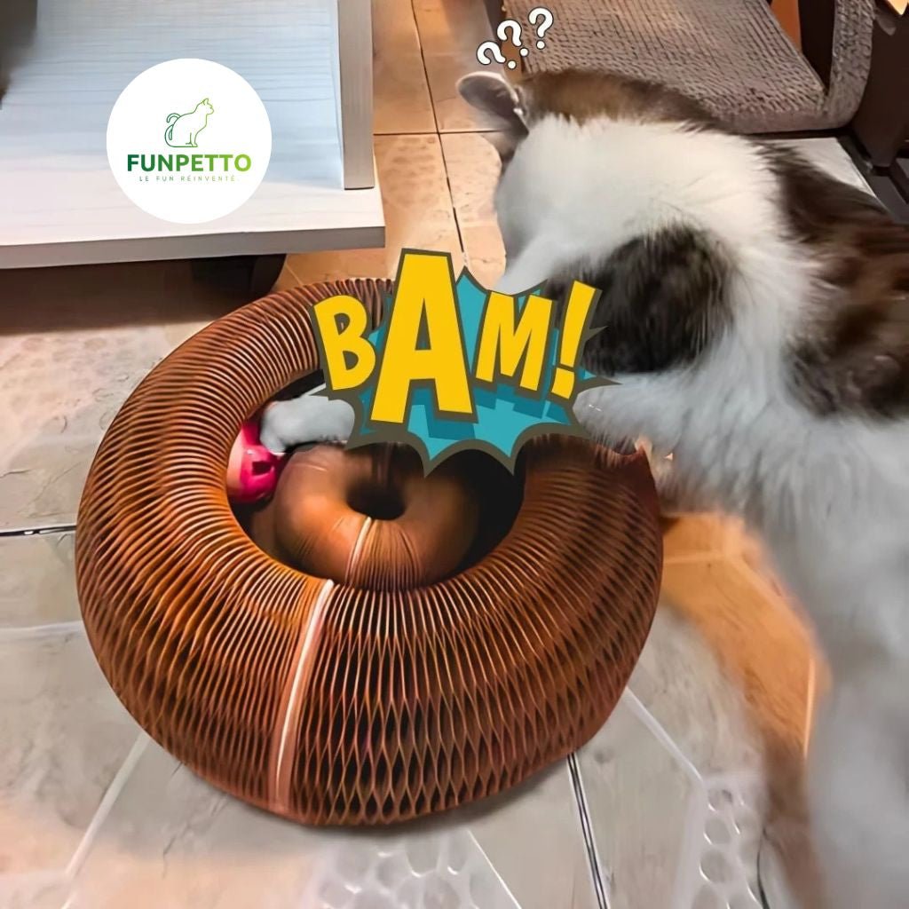 FunPetto™ - Griffoir interactif pour chat