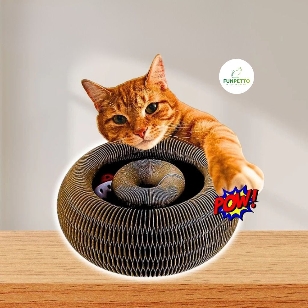 FunPetto™ - Griffoir interactif pour chat