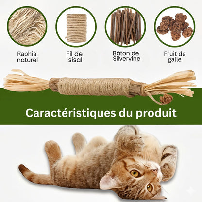 FunPetto Bâtonnets Dentaires Naturels à l'Herbe à Chat