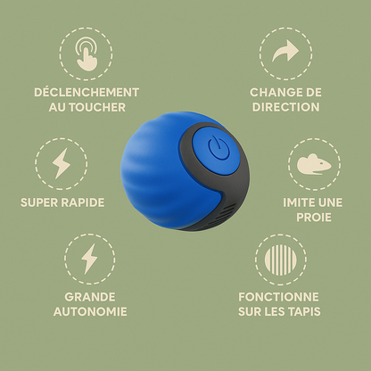 FunPetto™ - Jouet Intelligent pour Chat