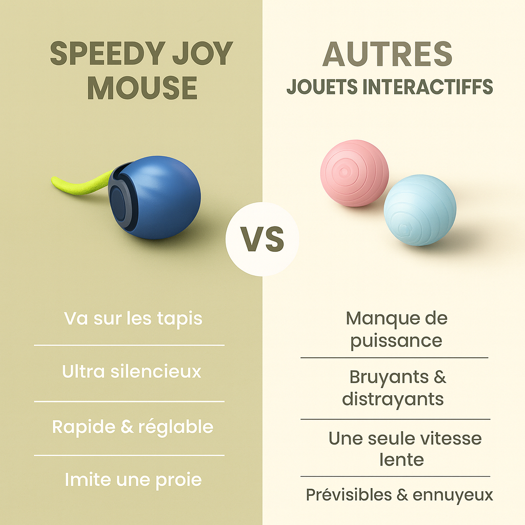 FunPetto™ - Jouet Intelligent pour Chat