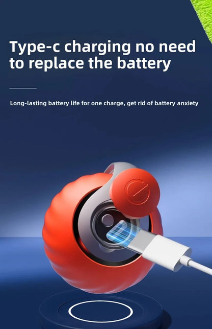 FunPetto™ - Jouet Intelligent pour Chat