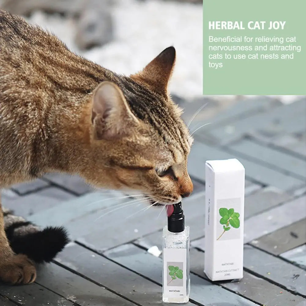 FunPetto™ Catnip Essentiel – Attractant Naturel