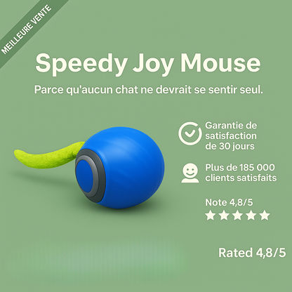 FunPetto™ - Jouet Intelligent pour Chat