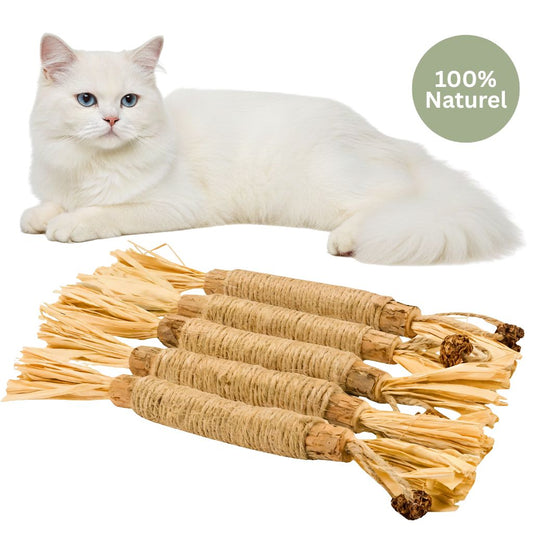FunPetto Bâtonnets Dentaires Naturels à l'Herbe à Chat